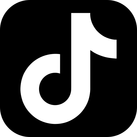 tiktok icon logo